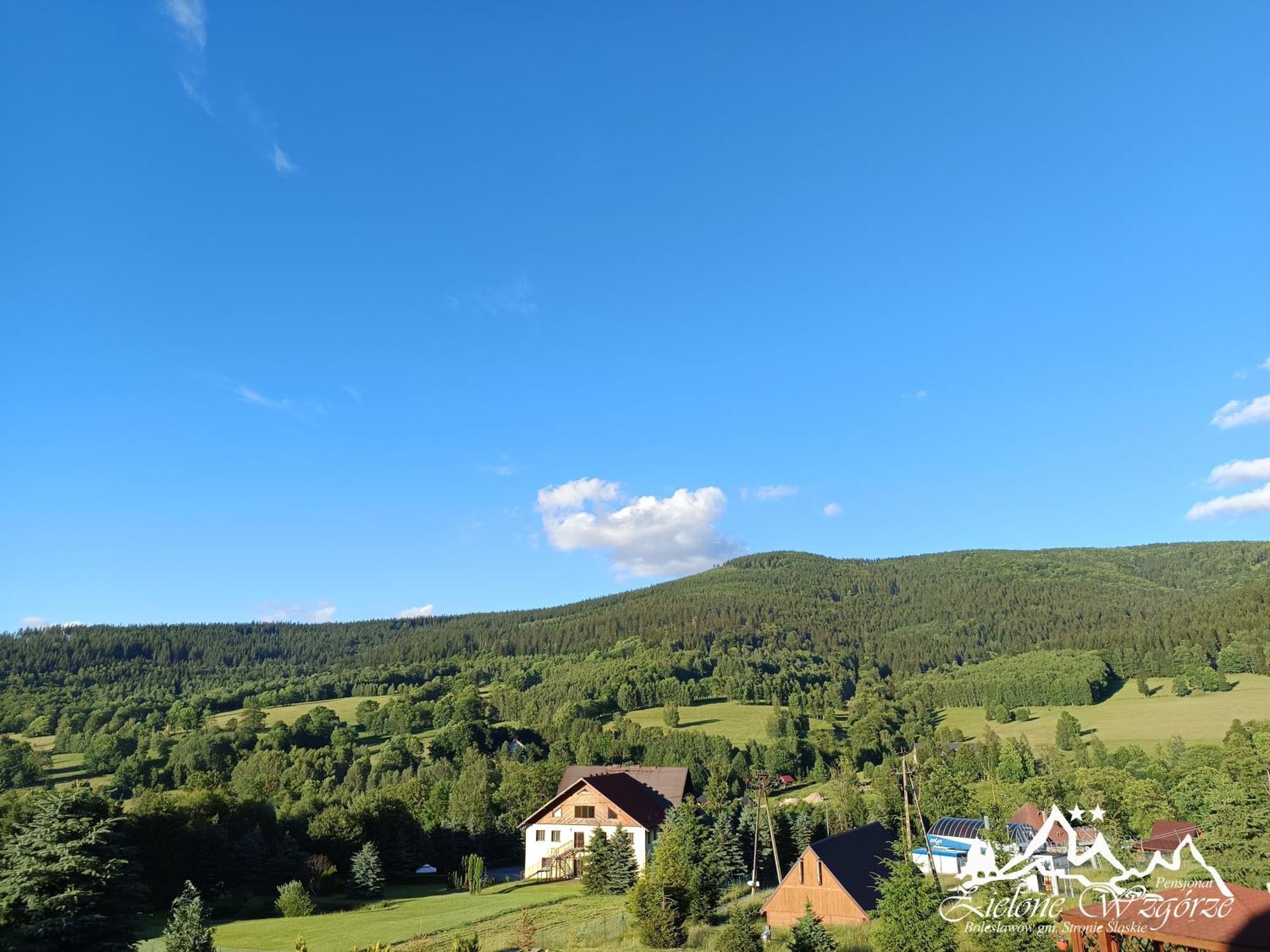 Pensjonat Zielone Wzgorze W Boleslawowie Stronie Śląskie エクステリア 写真